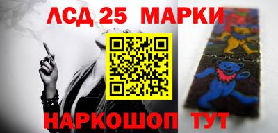 прущие грибы Кандалакша