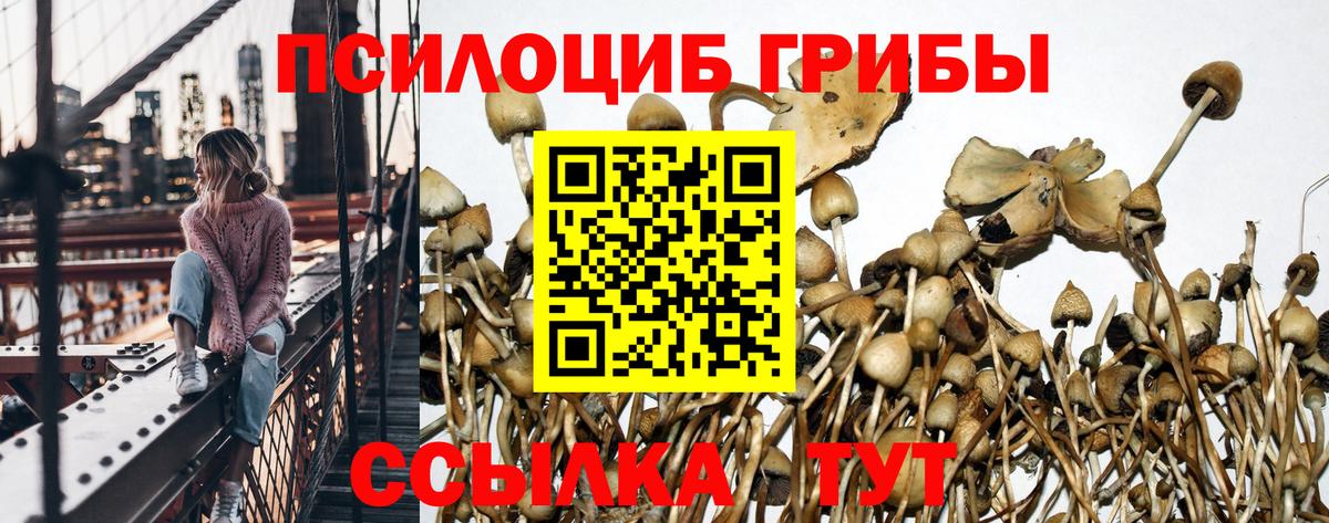 Псилоцибиновые грибы мицелий  Галлюциногенные грибы мицелий  Кумертау  Вход с VPN 